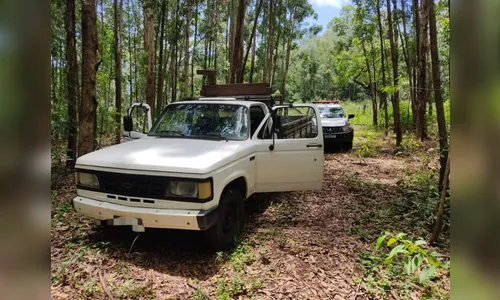 Fretista cai em emboscada, é amarrado e assaltado em Jandaia do Sul