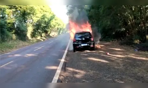 Veículo fica destruído em incêndio na rodovia PR- 495