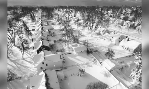 Frio provoca mais de 30 mortes nos Estados Unidos; saiba mais