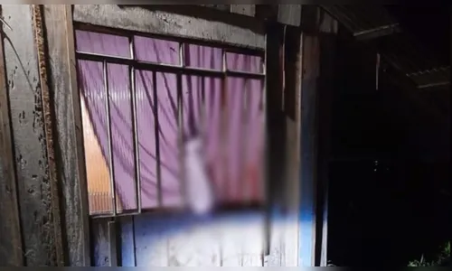 Homem invade casa no litoral do PR e é morto a paulada por moradora