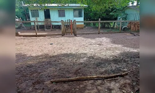 Sobrinho é preso logo após matar o tio a paulada no Paraná