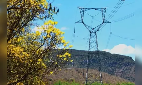 Torre de transmissão de energia cai no PR; 'há indícios de vandalismo'