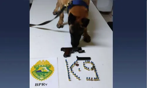 Homem é preso com arma carregada em ônibus de viagem