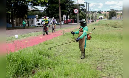 Apucarana alerta donos de terrenos para providenciarem roçagem
