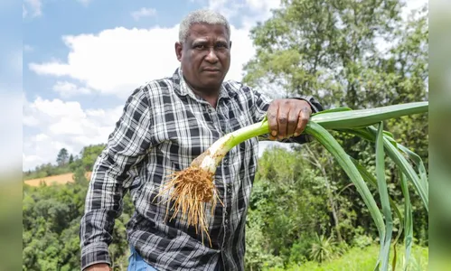 Líder nacional, Paraná quer ampliar consumo e produção de orgânicos