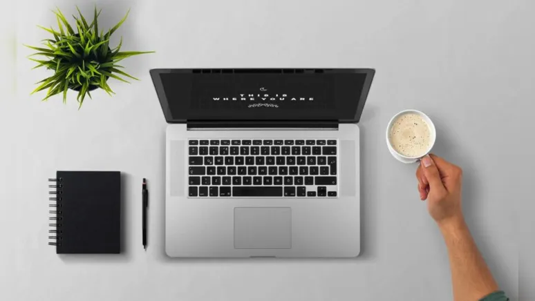 Imagem ilustrativa da notícia A Importância da diversificação para as empresas