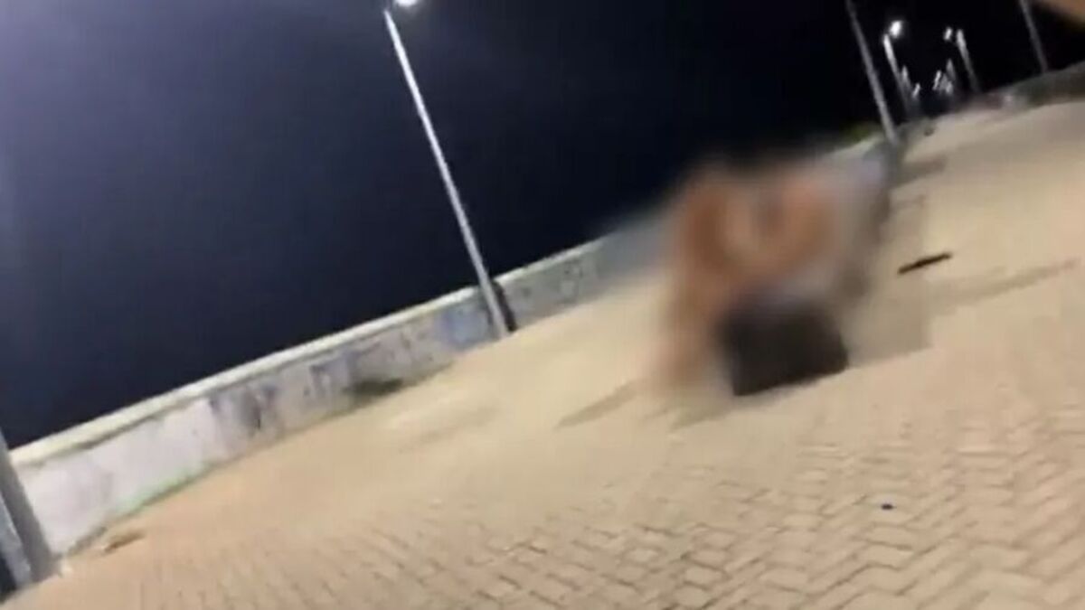 Vídeo: trisal é investigado por fazer sexo em praia de Fortaleza