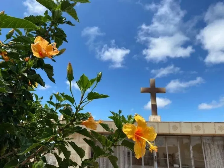 Os sepultamentos acontecem em Apucarana e na região