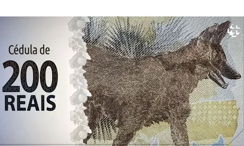 PM de Apucarana prende homem que estava com dinheiro falso na festa