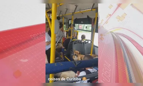 Passageiros ilustres de coletivo, “caramelos” viralizam no PR