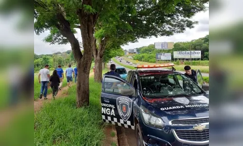 Homem é preso pela morte do próprio cachorro e multado em R$ 10 mil