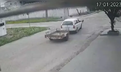 Câmera flagra motorista desviando trajeto para atropelar cão no Paraná