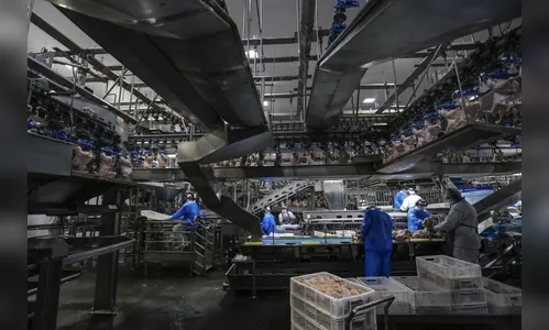 Puxadas por carne de frango, exportações do Paraná crescem 6,1%