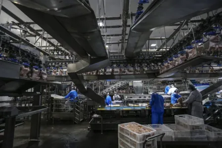 Cooperativa C Vale - Industria de Aves e Tilapia