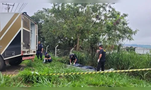 Adolescente que matou homem a facadas em Apucarana é detido