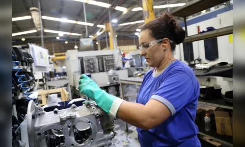 Paraná garante o maior Salário Mínimo Regional; confira os valores