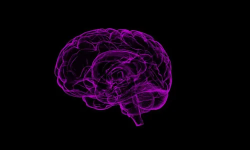 Entenda o que é metástase cerebral proveniente do câncer de pulmão