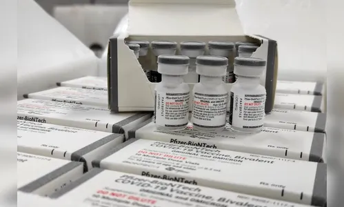 Paraná começa a receber vacina bivalente contra a Covid-19