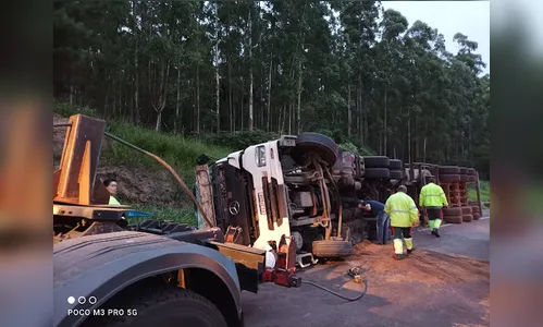 Carreta de frango é saqueada após tombamento na BR-376, no Paraná