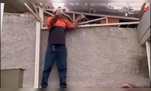 Vídeo: cobra surge em telhado de igreja durante culto e assusta fiéis