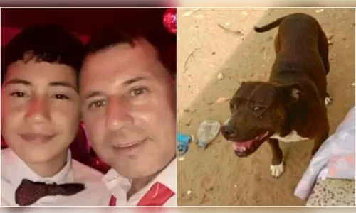 Homem mata pitbull a facadas após cachorro atacar seu filho