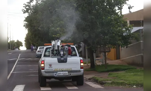 Sesa solicita ao Ministério da Saúde insumos para combate à dengue