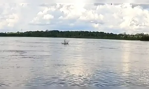Impressionante: pescador flagra casal de botos atacando sucuri