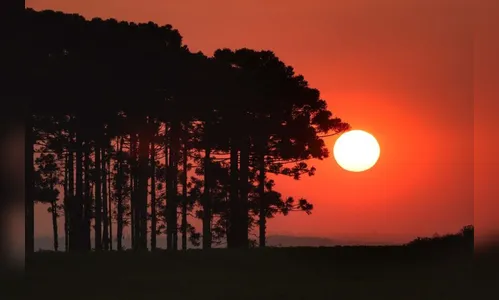 Empresários do PR vão a Brasília pedir a volta do horário de verão