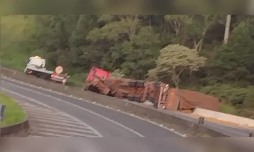 Após tombamento, carga de farelo de milho é saqueada em Mauá da Serra