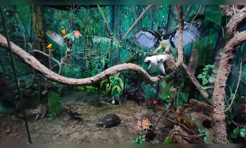 Referência nacional, museu é invadido e furtado no Norte do Paraná