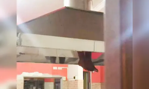 Vídeo: Homem fica entalado em chaminé, após tentativa de invasão no PR