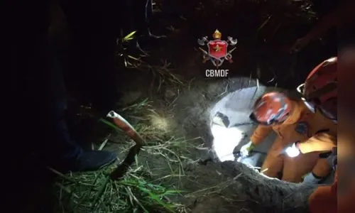 Chacina: PCDF localiza três corpos em área rural de Planaltina