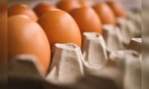 Mãe e filha sofrem queimaduras graves após ovo explodir no micro-ondas