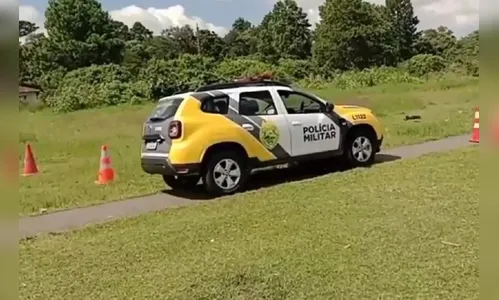 Corpo com sinais de violência é localizado em parque no PR