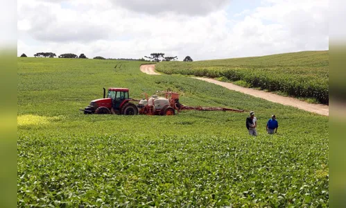 Safra de verão deve alcançar 24,7 milhões de toneladas no Paraná