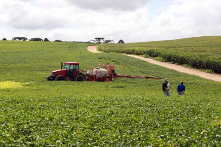 Para a primeira safra de milho, a expectativa é de produção de 3,7 milhões de toneladas