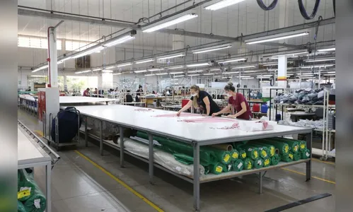 Paraná liderou geração de empregos no Sul em 2022; segundo o Caged