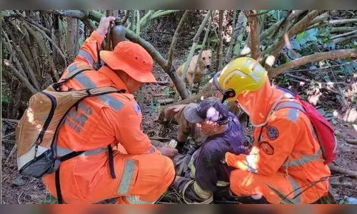 Vira-lata late ajuda a encontrar idoso perdido em área de mata