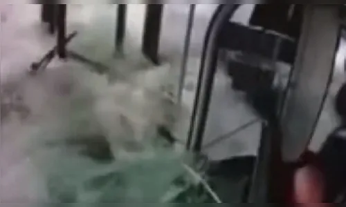 Vídeo: Passageiros vivem momento de terror após ônibus cair em lago
