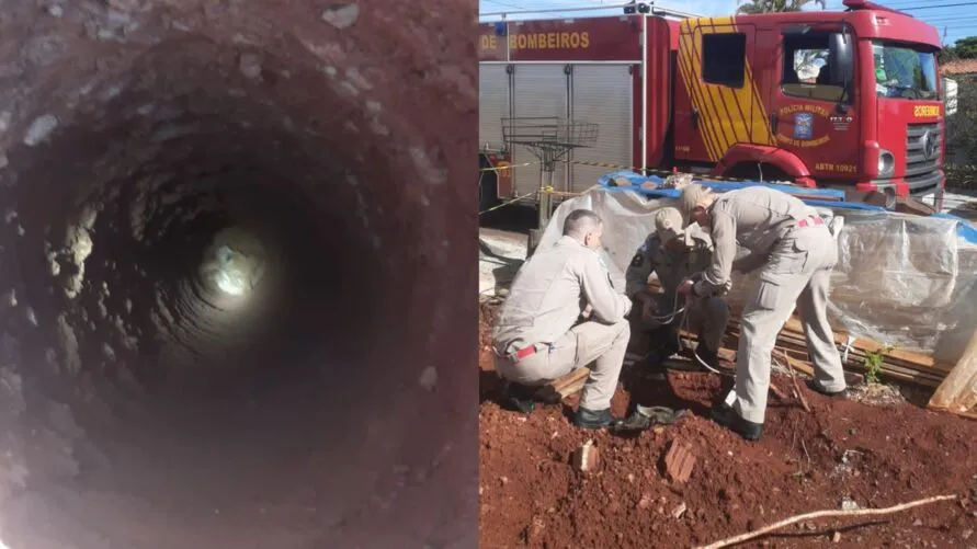 Cachorro é resgatado por bombeiros após cair em buraco de obra