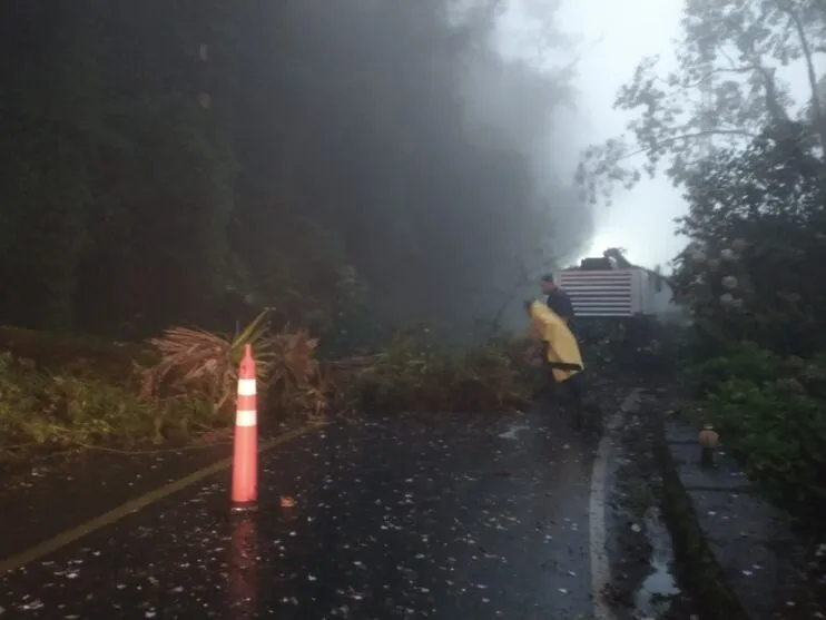 Estrada da Graciosa foi novamente bloqueada após queda de árvores