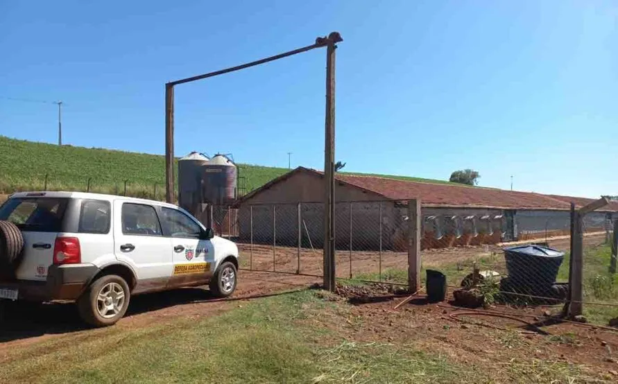 O Paraná está utilizando medidas de biosseguridade, que  ajudam a evitar que as aves entrem em contato com algo que possa transportar o vírus