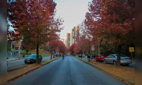 Simepar prevê outono típico no Paraná, com variações de temperatura