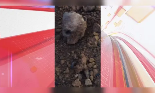 Macabro: criança encontra crânio ao brincar em monte de terra