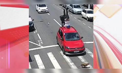 Cachorro caramelo causa 'problemão' a motoristas ao cruzar rua de MG