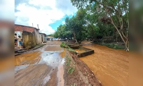 Bandeirantes volta a sofrer com alagamentos após fortes chuvas