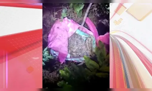 Mistério: laudo desvenda possível ossada humana encontrada no PR