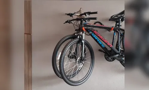 VÍDEO: ladrão invade garagem de casa em Apucarana e furta bicicleta