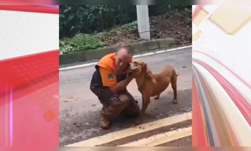 Cão é resgatado após ser levado por enxurrada durante temporal; veja