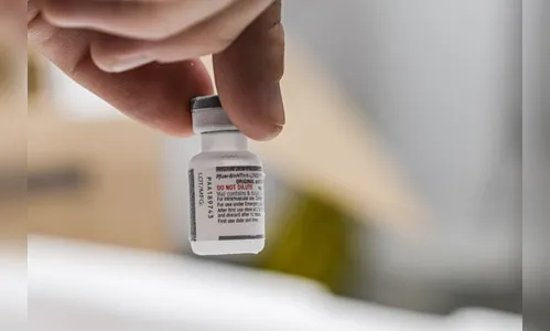 Paraná recebe terceira remessa de vacinas bivalentes contra a Covid-19